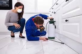 Trusted East Mckeesport, PA Pest Control Experts